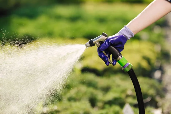 Mujer mano con manguera de jardín riego plantas, concepto de jardinería — Foto de Stock