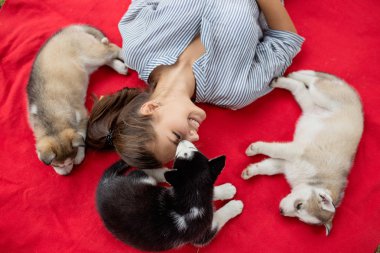 Bir at kuyruğu ve çizgili bir gömlek giymiş güzel bir gülümseyen kadın'ın bahçesinde kırmızı paket üzerinde dinlenme sırasında üç tatlı husky yavru ile oynuyor. Sevgi ve Evcil hayvan bakımı.