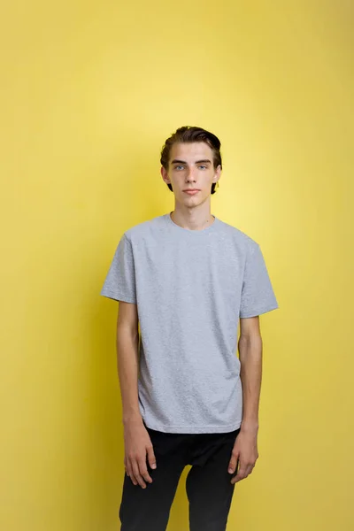 Calma bello giovane ragazzo magro dai capelli scuri con gli occhi blu indossare grigio t-shirt in piedi contro sfondo giallo — Foto Stock