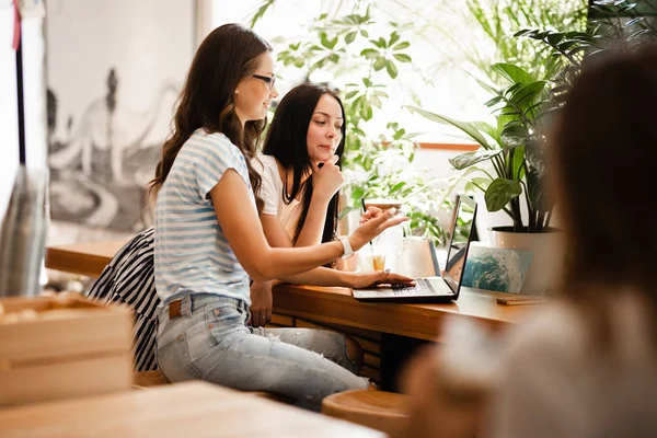 To pene, unge jenter med langt, mørkt hår, med uformell stil, sitter ved bordet og ser på laptop-skjermen i en koselig kaffebar . – stockfoto