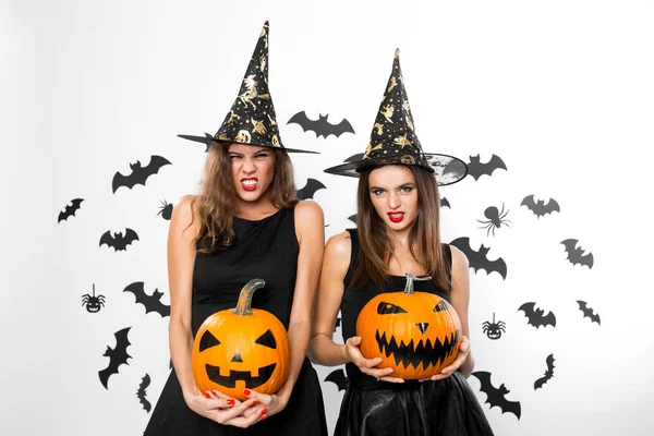 Two brunette girls in black dresses and witch hats hold horror halloween pumpkins on the background with bats