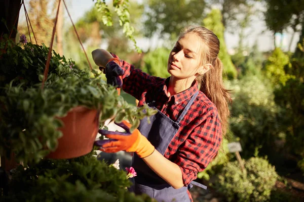 Leuk meisje tuinman verzorgen van de planten in de pot op de veranda in de prachtige tuin op een zonnige dag — Stockfoto