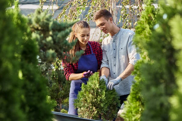 Bahçıvanlar sıcak güneşli bir kreş bahçede. Kız ve adam thr bitki Kreş bahçedeki tencerede üzerinde sıcak güneşli bir günde arıyoruz