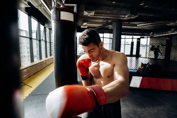 Sportsman in red boxing gloves with a naked torso hits punching bag in the gym on the background of  boxing ring