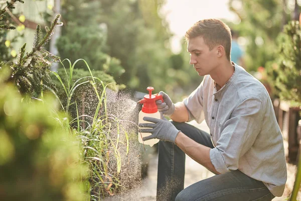 Guy jardineiro pulveriza fertilizante em plantas no belo jardim-berçário em um dia ensolarado. Trabalho no jardineiro — Fotografia de Stock