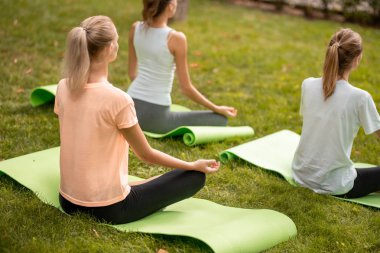 Genç ince kız yoga paspaslar üzerinde park yeşil çimenlerin üzerinde diğer kızlarla sıcak bir günde yapıyor lotus pozisyon rahatlatıcı oturur.