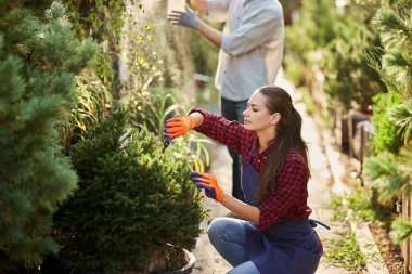 Apron giymiş kız bahçıvan güneşli bir günde güzel kreş-bahçede budama bitkileri.