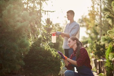 Apron giymiş kız bahçıvan güneşli bir günde güzel kreş-bahçede budama bitkileri.