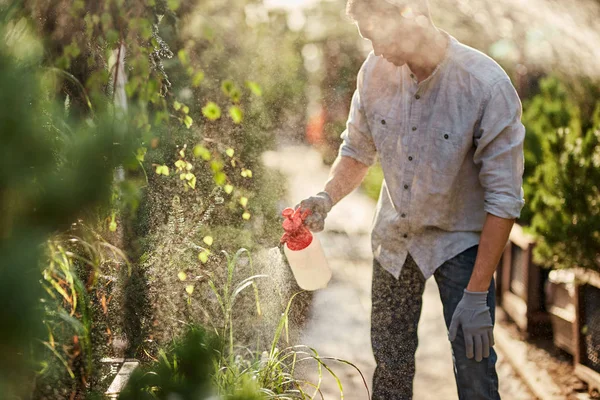 Guy tuinman spuit meststof op planten in de prachtige kwekerij-tuin op een zonnige dag. Werken in de tuinman — Stockfoto