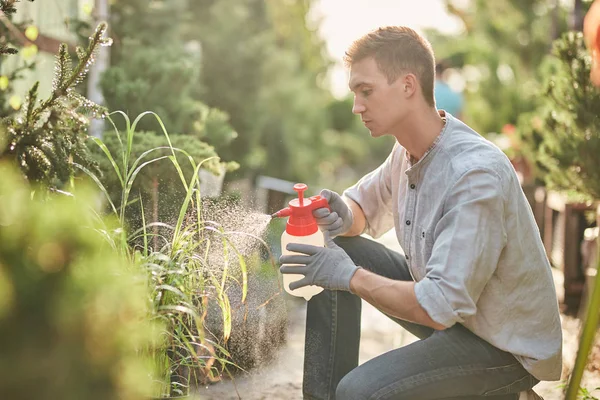 Guy jardineiro pulveriza fertilizante em plantas no belo jardim-berçário em um dia ensolarado. Trabalho no jardineiro — Fotografia de Stock