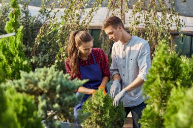 Kreş bahçers-sıcak güneşli bir gün Bahçe. Kız ve Gu