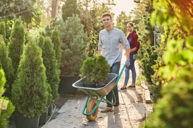Adam bahçıvan tencere harika çocuk odası Bahçe Bahçe yol boyunca sıcak güneşli bir günde bir sepeti fidan ile rulo