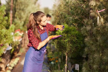 Apron giymiş güzel kız bahçıvan güneşli bir günde güzel kreş-Bahçe bitkiler ilgilenir.