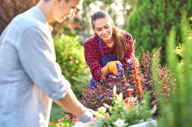Bahçe eldiven genç adam bahçıvan masada Beyaz ahşap kutuda fide ile tencere koyar ve bir kız güneşli bir günde harika kreş-bahçe içinde bitkiler Kuru Erik.