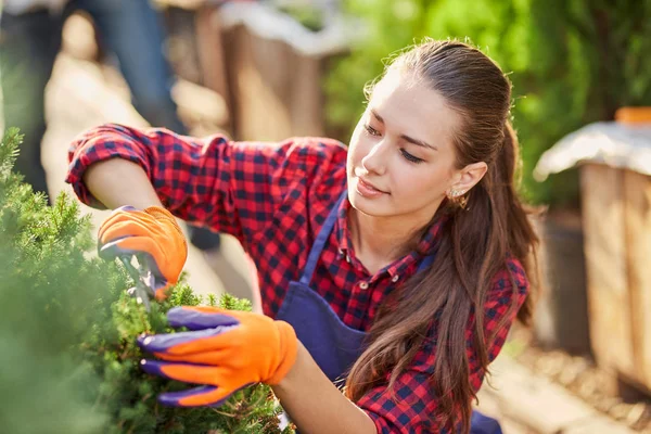 Niña jardinero vestida de delantal es la poda de plantas en el hermoso vivero-jardín en un día soleado . — Foto de Stock