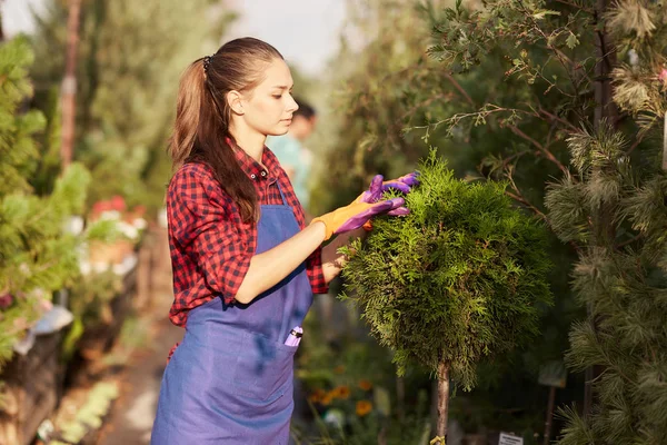 Mooie meisje tuinman gekleed in schort zorgt voor de planten in de prachtige kwekerij-tuin op een zonnige dag. — Stockfoto