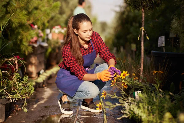 Hermosa chica jardinero vestido de delantal se encarga de las plantas que se sientan en el camino del jardín en el hermoso vivero-jardín en un día soleado . — Foto de Stock