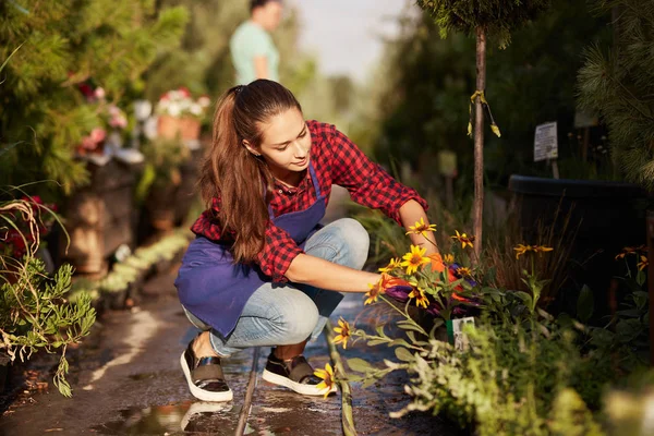 Hermosa chica jardinero vestido de delantal se encarga de las plantas que se sientan en el camino del jardín en el hermoso vivero-jardín en un día soleado . — Foto de Stock