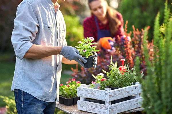 Guy jardinero en guantes de jardín pone las macetas con plántulas en la caja de madera blanca sobre la mesa y una niña poda plantas en el maravilloso jardín infantil en un día soleado . — Foto de Stock