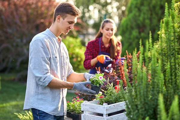 Gardener cara cuidadoso em luvas de jardim coloca os potes com mudas na caixa de madeira branca sobre a mesa e uma menina poda plantas no maravilhoso jardim-berçário em um dia ensolarado . — Fotografia de Stock