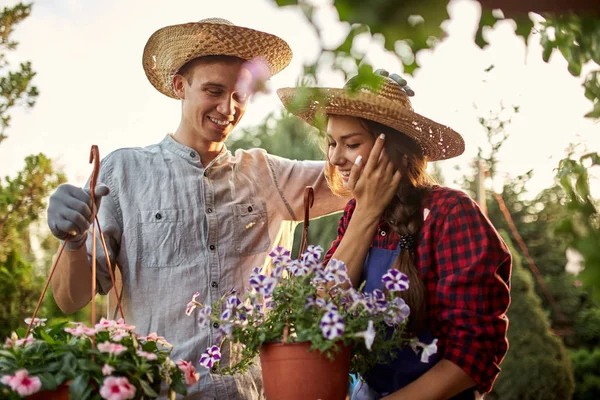 Glückliche Kerle und Gärtnerinnen mit Strohhüten halten Töpfe mit Petunien auf dem Gartenweg an einem sonnigen Tag. — Stockfoto