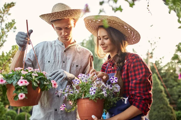 Guy és lány kertészek a szalma kalap tartsa edények csodálatos petúnia a kerti ösvény egy napsütéses napon. — Stock Fotó
