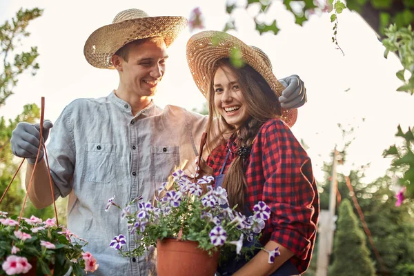 Gärtner mit Strohhüten halten an einem sonnigen Tag Töpfe mit wunderschönen Petunien auf dem Gartenweg. — Stockfoto