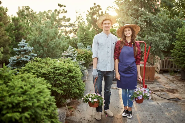 Jardineiros Guy e menina em um chapéu de palha ficar no caminho do jardim e segurar panelas com petúnia maravilhosa em um dia quente no jardim — Fotografia de Stock