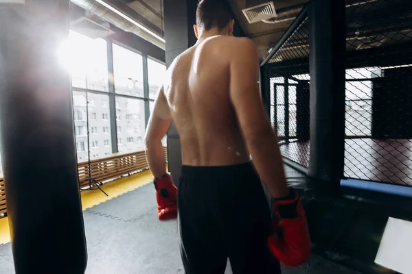 Le dos du sportif debout à côté des sacs de boxe dans la salle de gym — Photo