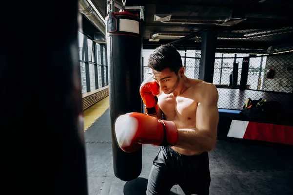 Sportsman in red boxing gloves with a naked torso hits punching bag in the gym on the background of  boxing ring