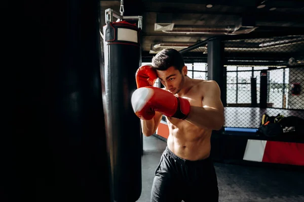 Sportsman in red boxing gloves with a naked torso hits punching bag in the gym on the background of  boxing ring