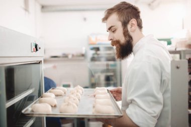 Genç karizmatik fırıncı fırınında fırında ekmek rulo ile bir fırın tepsisi koyar