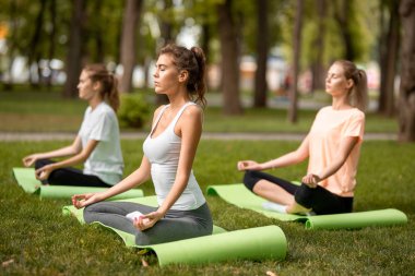Üç genç ince kız sıcak bir günde parkta yeşil çim yoga paspaslar yoga yapıyor kapanış gözleri ile lotus pozisyonlarda oturup