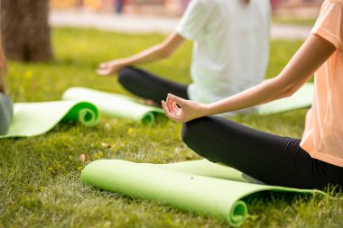 İnce kızlar sıcak bir günde parkta yeşil çim üzerinde diğer kızlarla egzersizler yaparak lotus pozisyonda rahatlatıcı oturup.