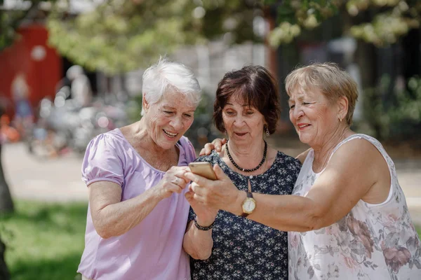 Three old women are smiling and looking photos at the at screen of the phone in the park on a warm day