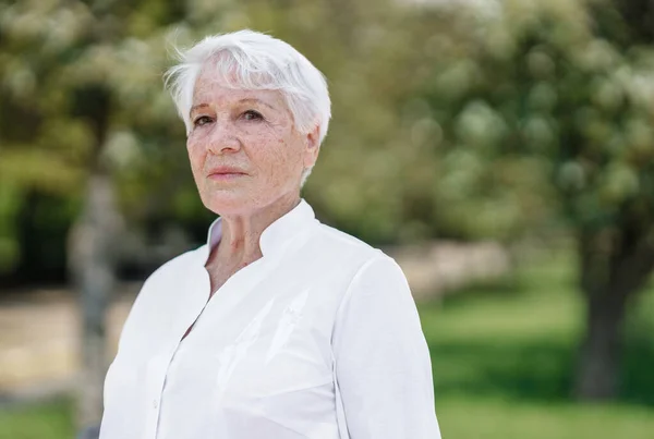 Elegante ältere grauhaarige Frau im weißen Hemd steht an einem warmen, sonnigen Tag in einem Park Stockbild