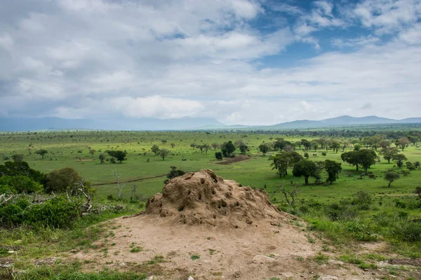 Tsavo Batı Milli Parkı Kenya Görünümü Güzel Yeşil Taita Hills — Stok fotoğraf