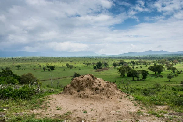 Tsavo west national park in Kenya. View of beautiful green taita hills after rain season. Kenya safari