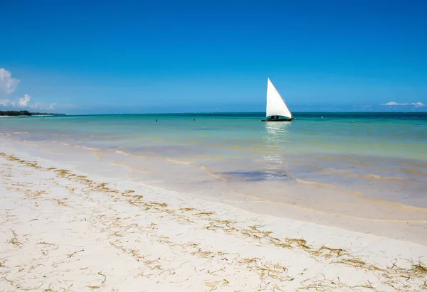 Yelkenli Kenya diani sahilde. Güzel manzara okyanus üzerinde.