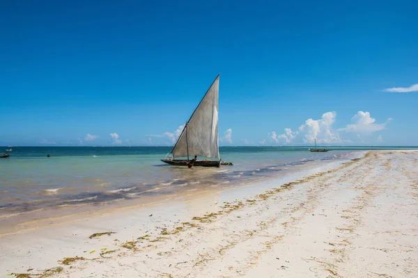 Yelkenli Kenya diani sahilde. Güzel bir okyanus manzarası.