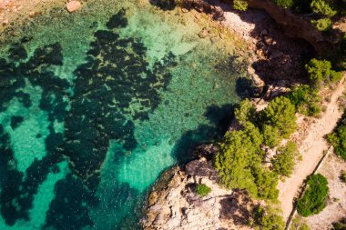Havadan görünümü güzel Bay Mallorca, temiz mavi yeşil su Cala Marmassen Mallorca İspanya