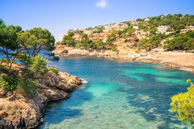 Mayorka güzel defne, Cala Marmassen Mallorca Ispanya açık mavi yeşil su.