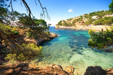 Mayorka güzel defne, Cala Marmassen Mallorca Ispanya açık mavi yeşil su.