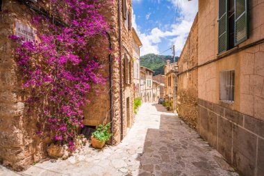 Valldemossa beautiful streets decorated in plant pots and colorful flowers 