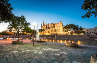 Palma de Mallorca Ispanya Katedrali de Santa Maria gece görünümü. 