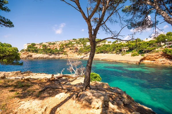 Hermosa Bahía Mallorca Agua Verde Azul Claro Cala Marmassen Mallorca — Foto de Stock