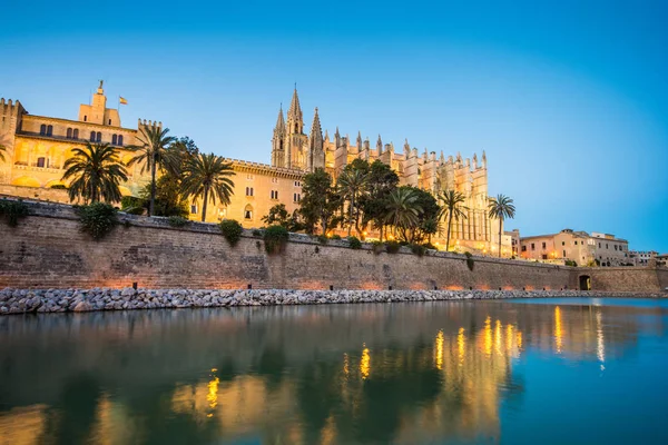 Palma de Mallorca Ispanya Katedrali de Santa Maria gece görünümü. 