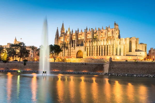 Palma de Mallorca Ispanya Katedrali de Santa Maria gece görünümü. 