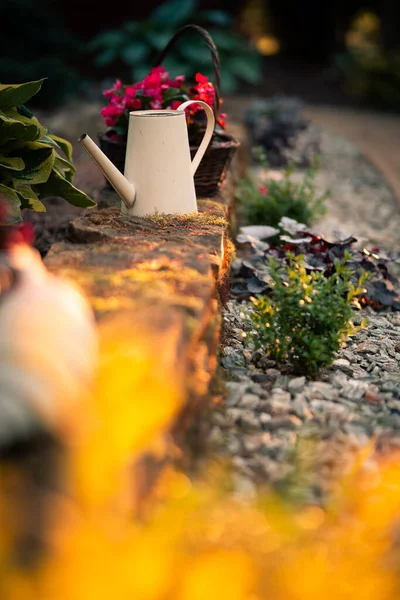 Bahçe süslemeleri. Dekoratif saksılarda saksı çiçeği. Kırsal sulama kutusu.
