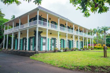 Botanik Bahçesi Pamplemoussları, Mauritius.
